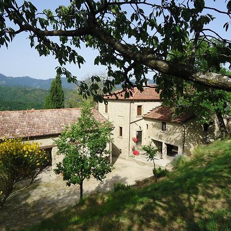 Agriturismo I Monti Di Salecchio Palazzuolo Sul Senio Εξωτερικό φωτογραφία